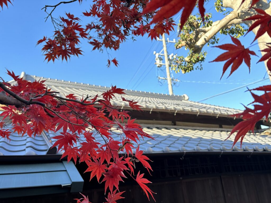 紅葉と瓦屋根