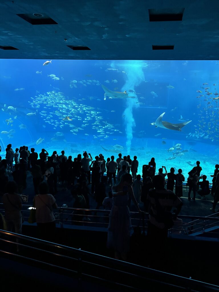 美ら海水族館