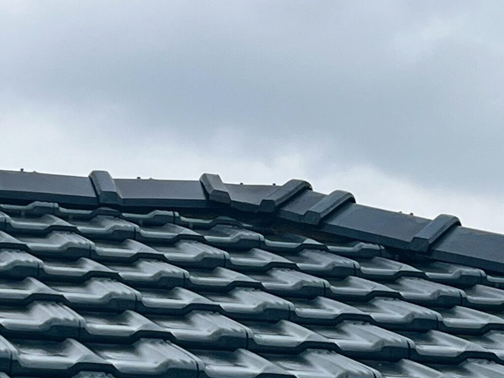 平板瓦の棟瓦の補強工事です