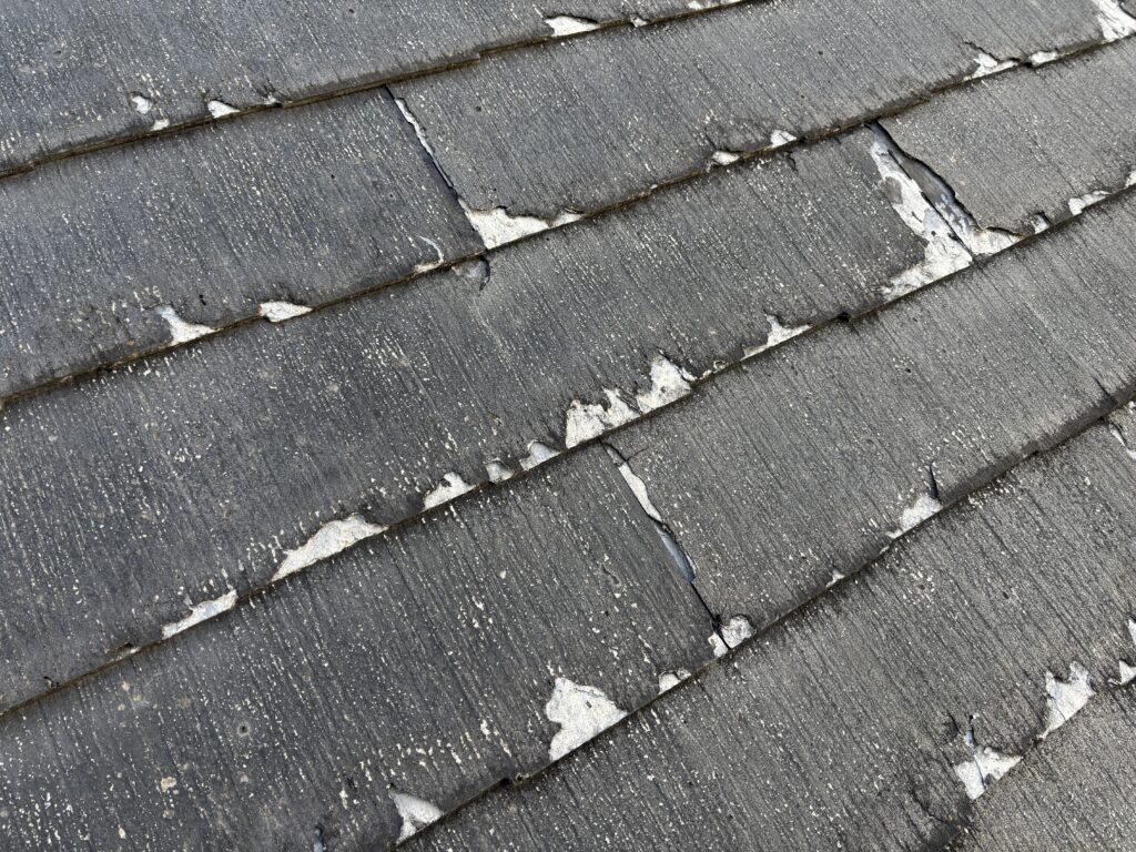 ボロボロになってきたパミール